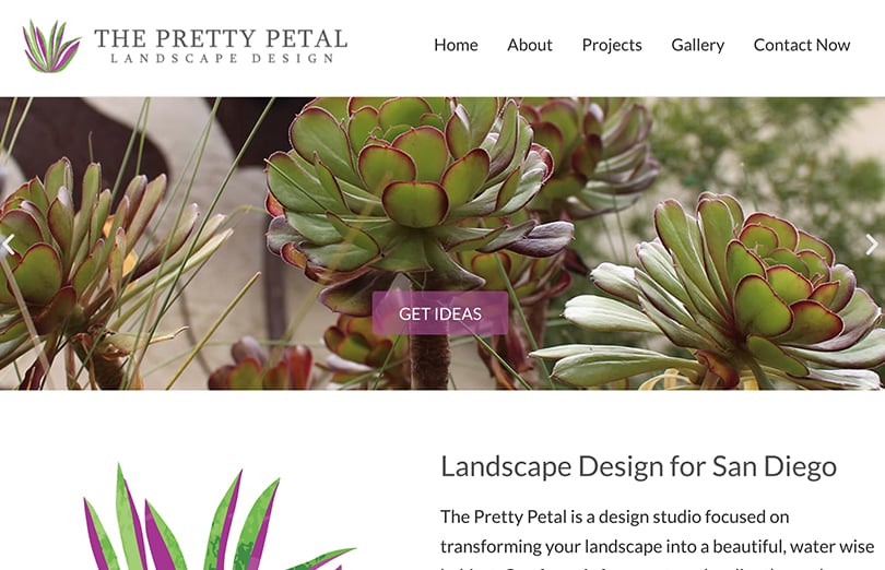 Screenshot of Pretty Petal website